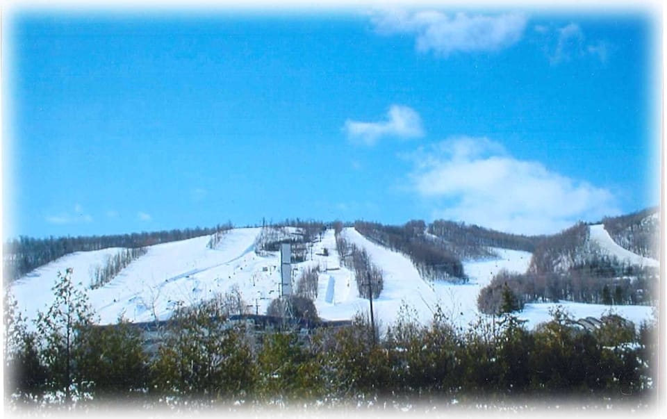 Less than 15 mins to some of the best ski hills Ontario has to offer!