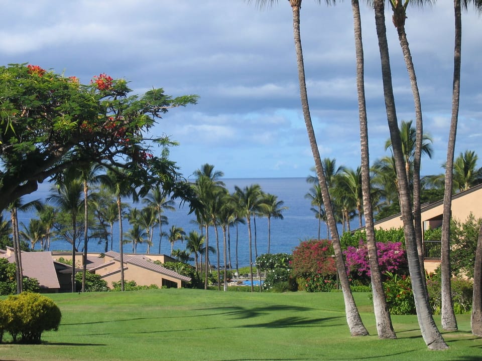 Beautiful View -Stroll To The Beach Til Toes In The Sand!