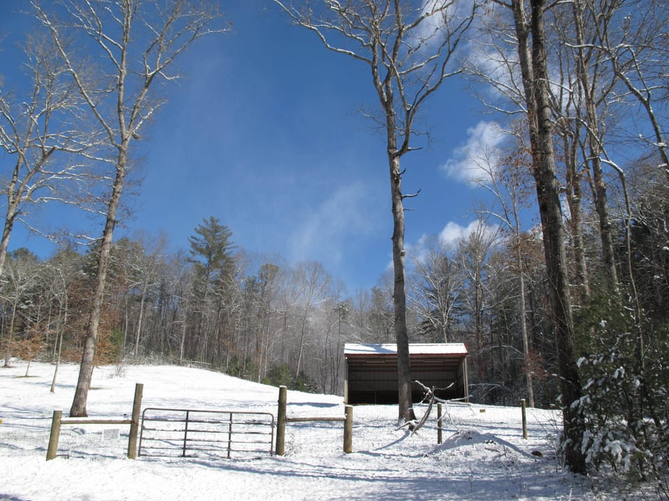 lower pasture after a snowfall