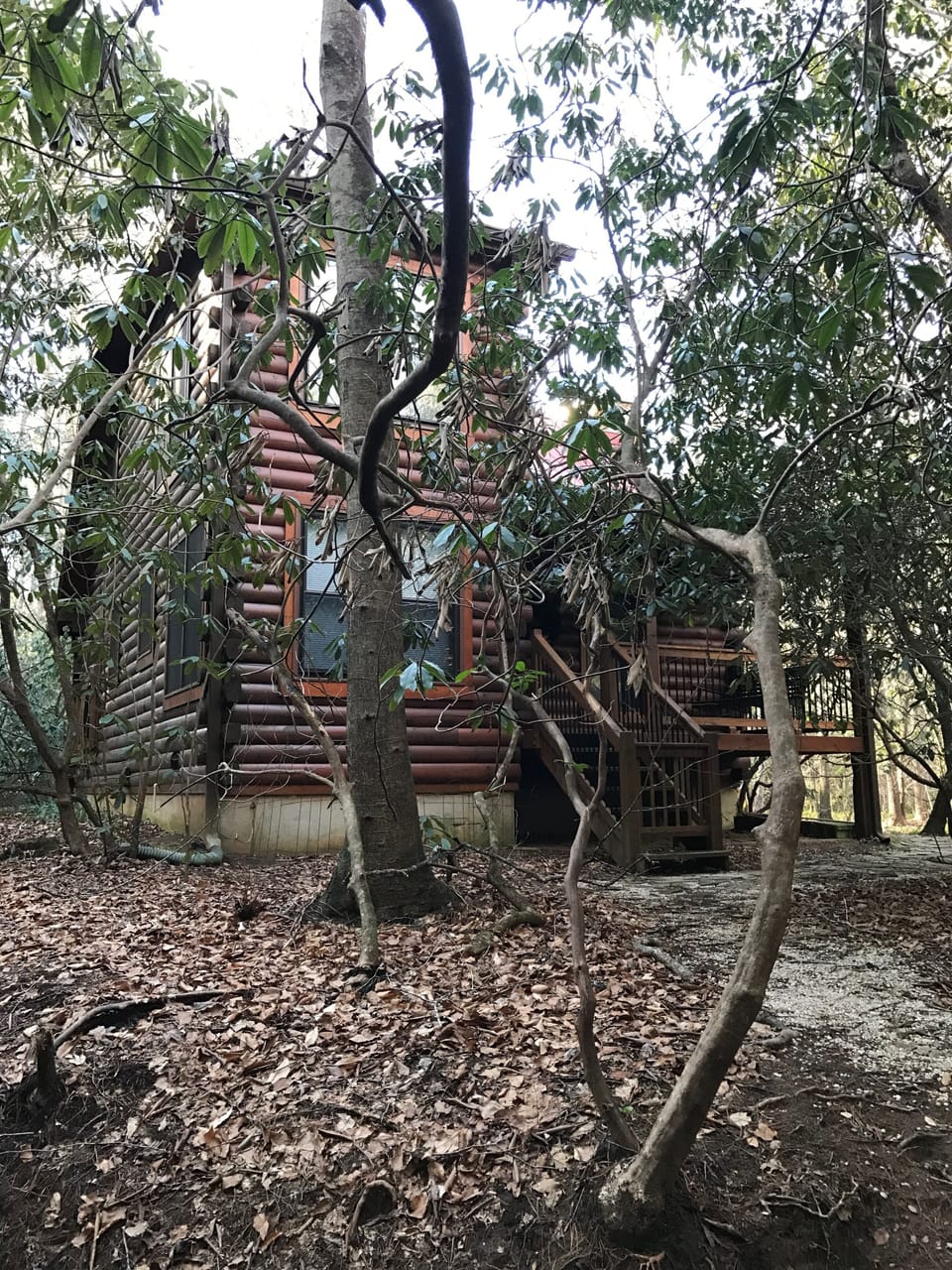 front of cabin, facing Craig Creek
