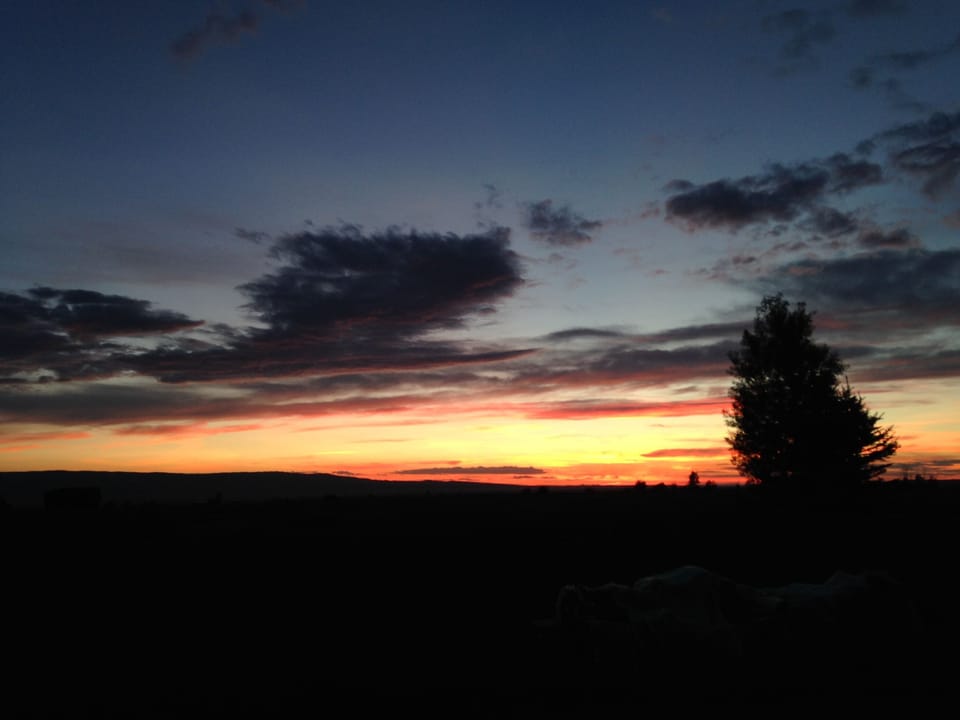 Back yard sun set