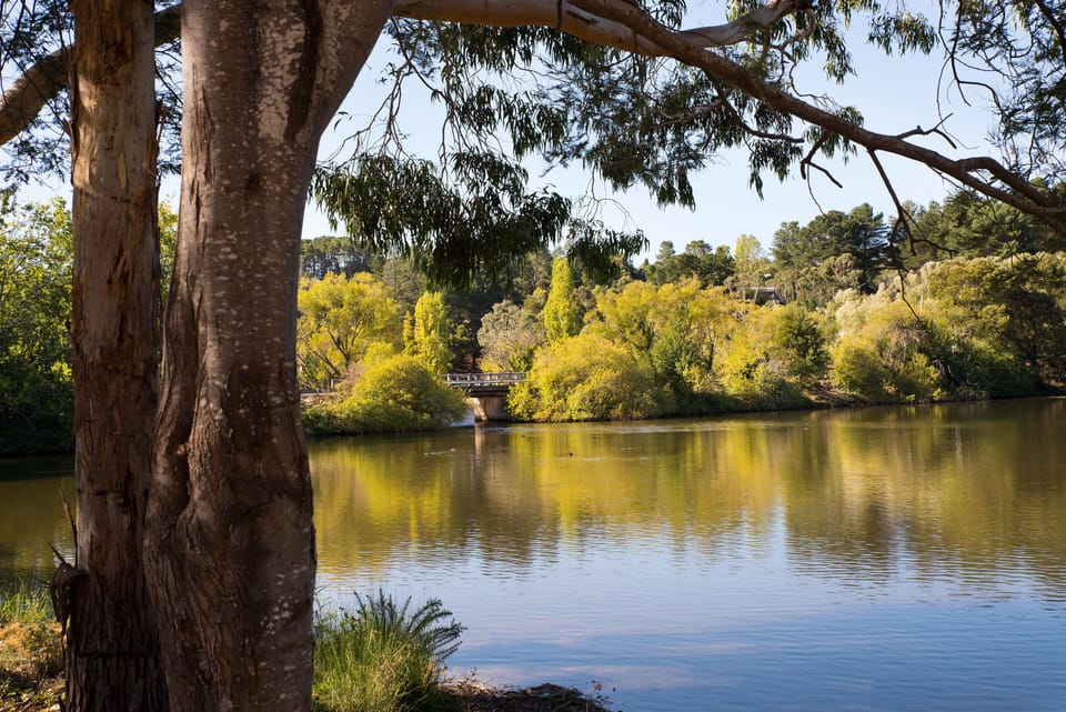 the lake from the bottom of our property