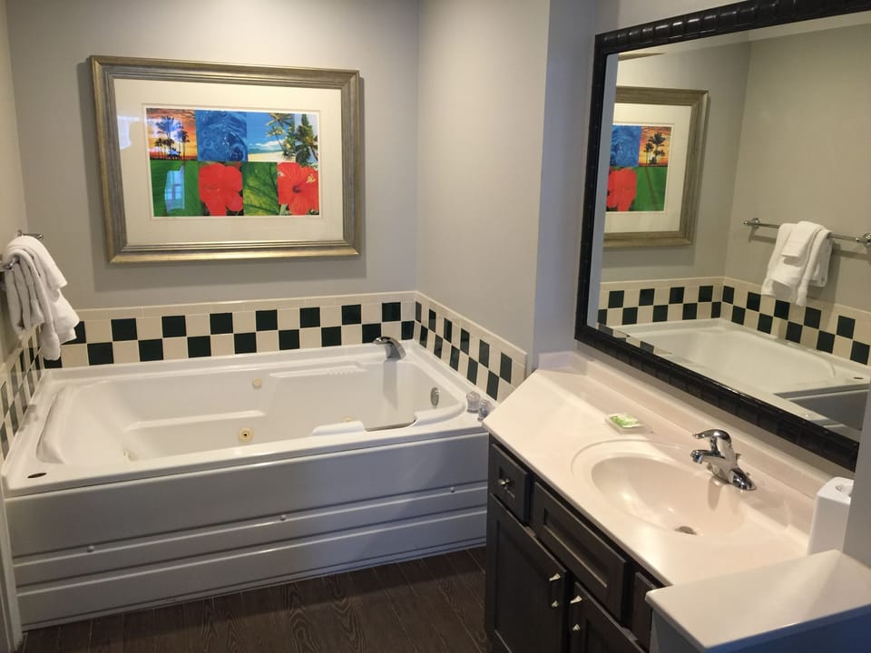 Master Bath Tub and Walk-in Shower