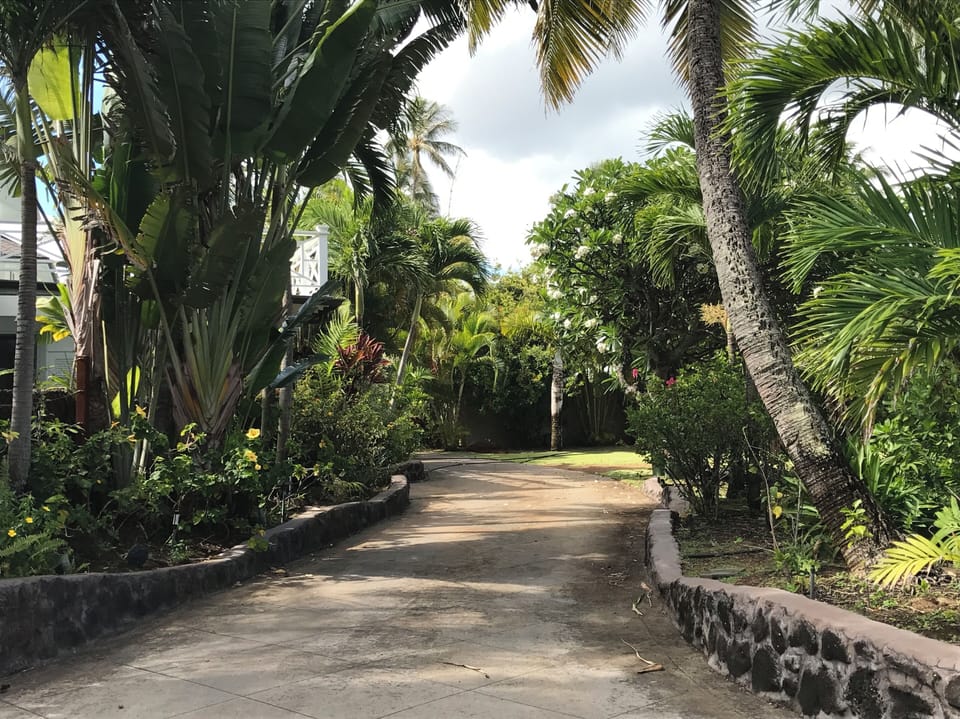 House is located at the end of the driveway