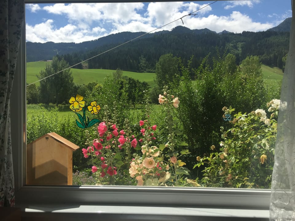 View from the kitchen