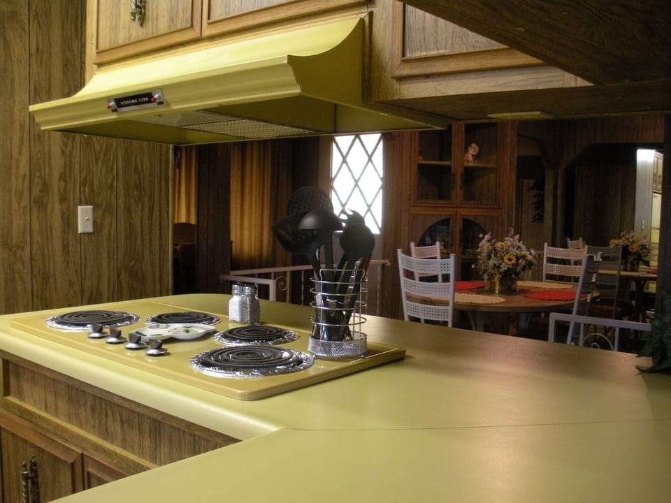 Did I mention the harvest gold appliances?
