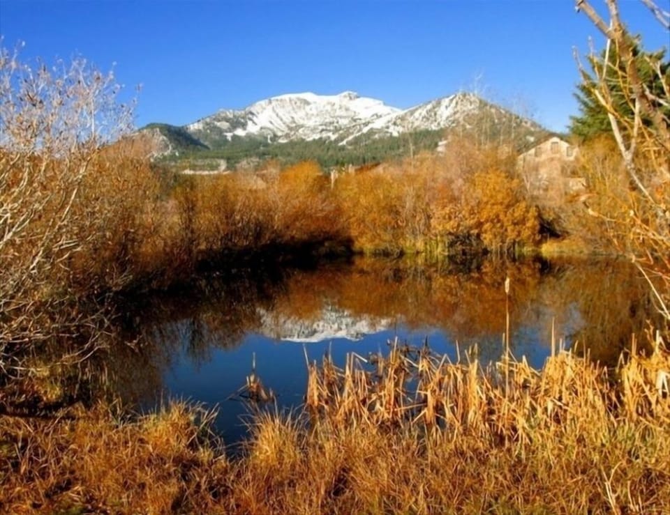 The pond out front