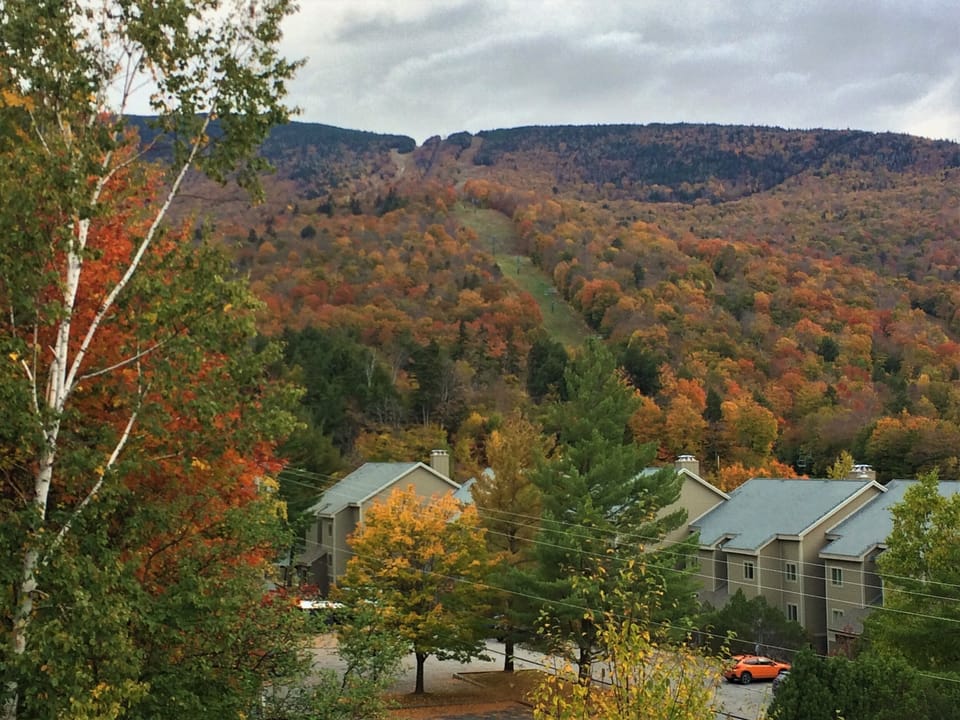 View of the mountain