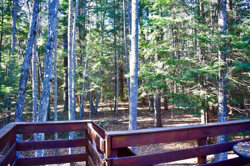 Back deck overlooking the White Mountain National Forest. 