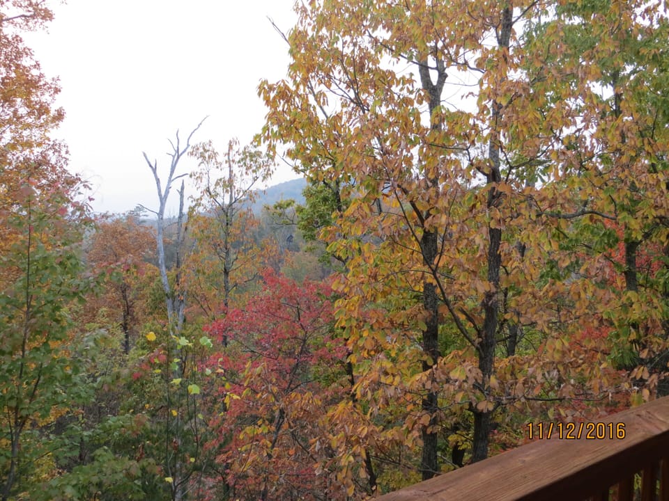 View from the back deck