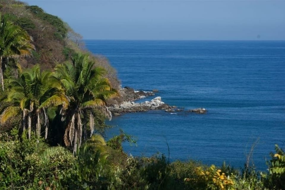 View Out over Playa Los Muertos