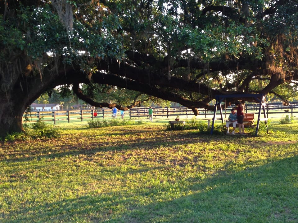 Relaxing under great tree