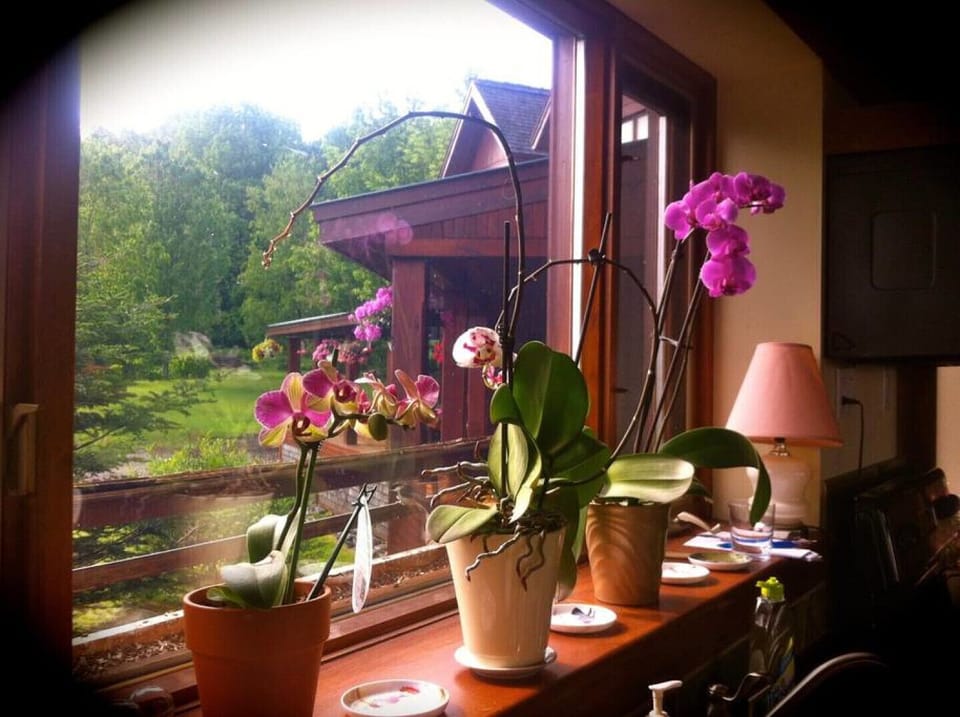 KITCHEN VIEW