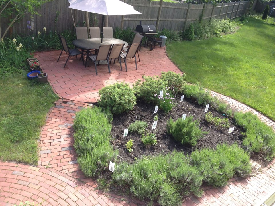  Herb and vegetable garden