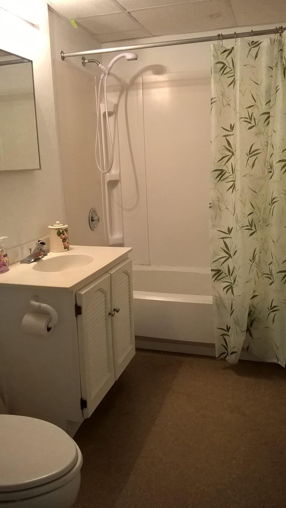 Bathroom on lower level