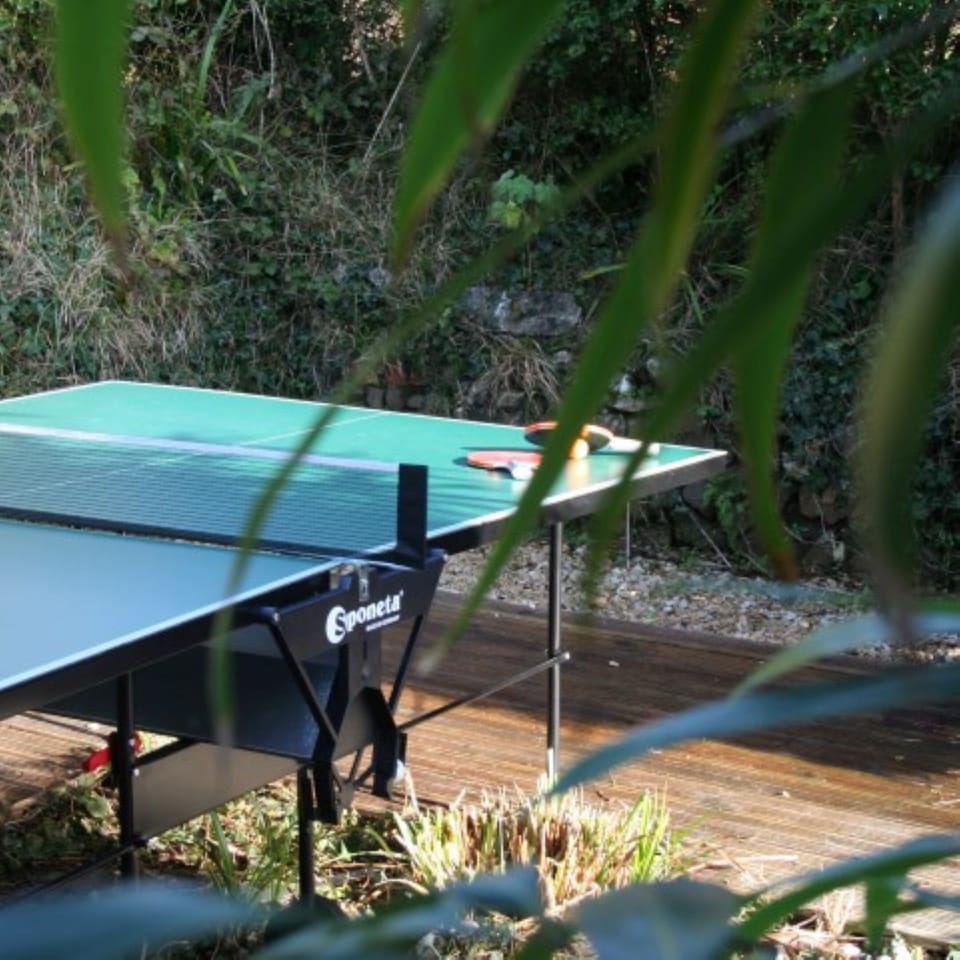 Table tennis action