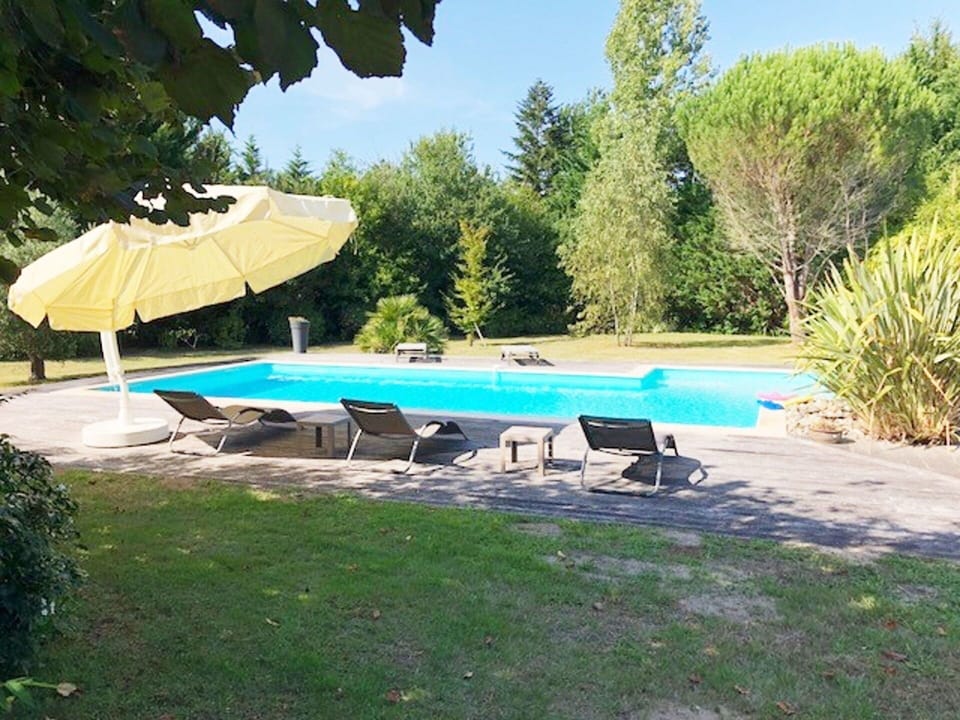 Plant, Water, Sky, Swimming Pool, Tree, Shade, Natural Landscape, Outdoor Furniture, Umbrella, Sunlounger