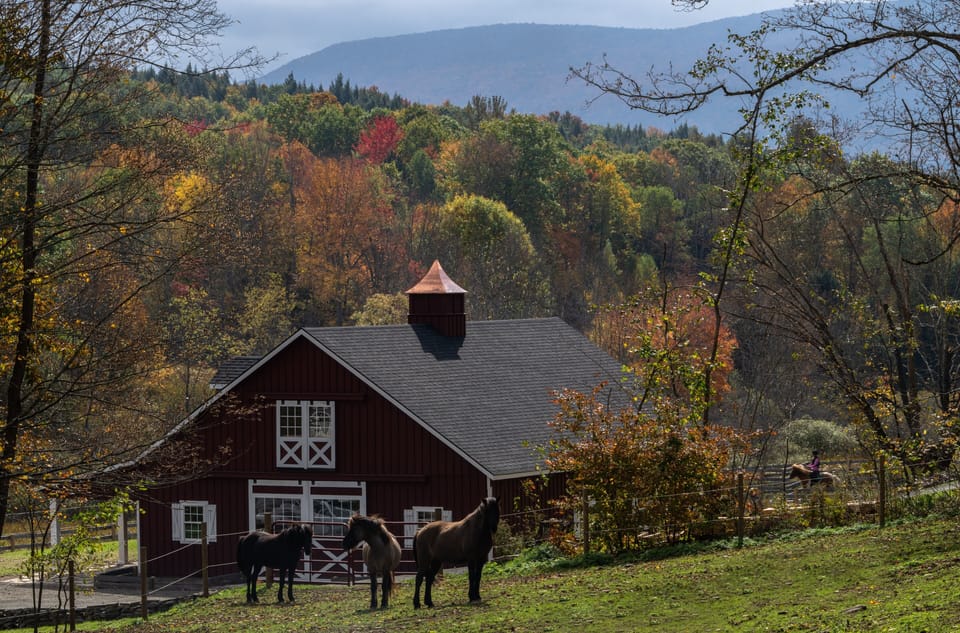 An exterior view of the multi-purpose barn space for you to enjoy.