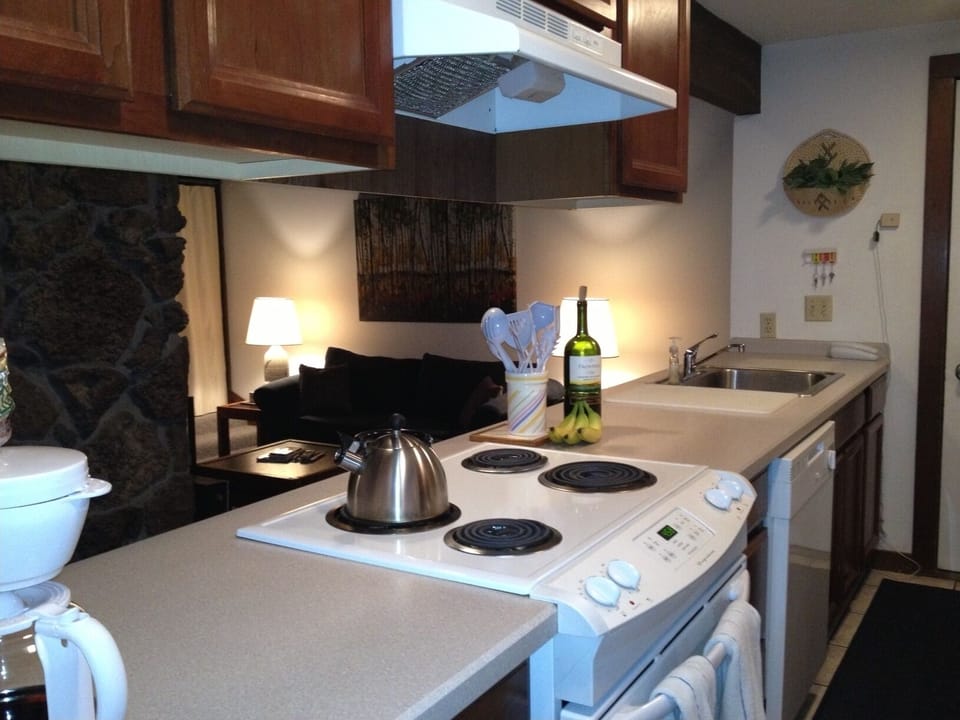 Kitchen overlooking the great room.