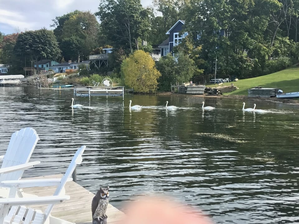 View from dock looking East
