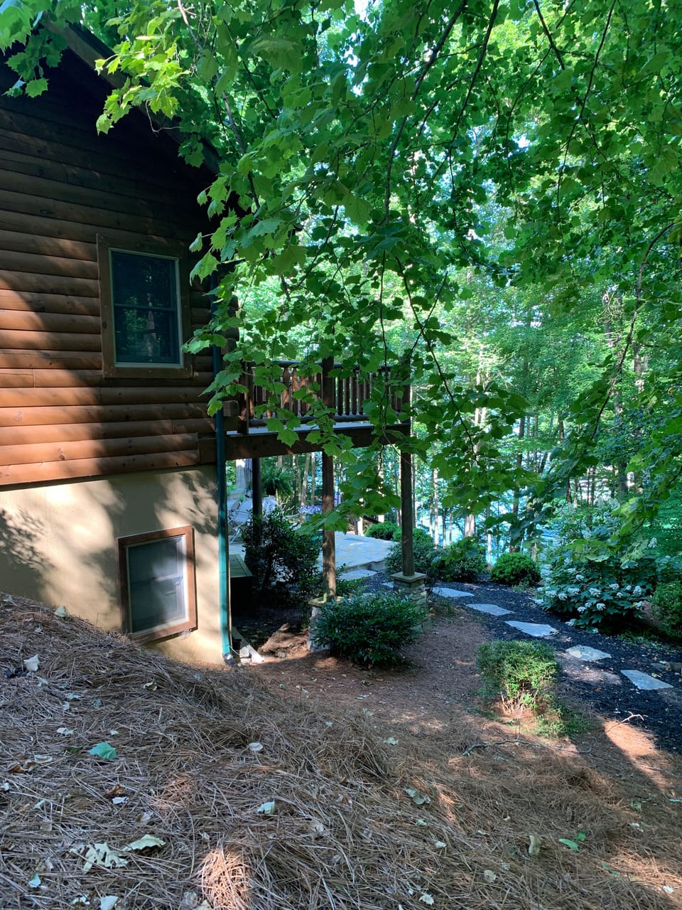 View From the Driveway 