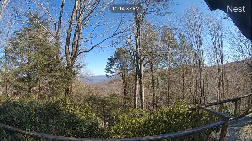 View from rear deck