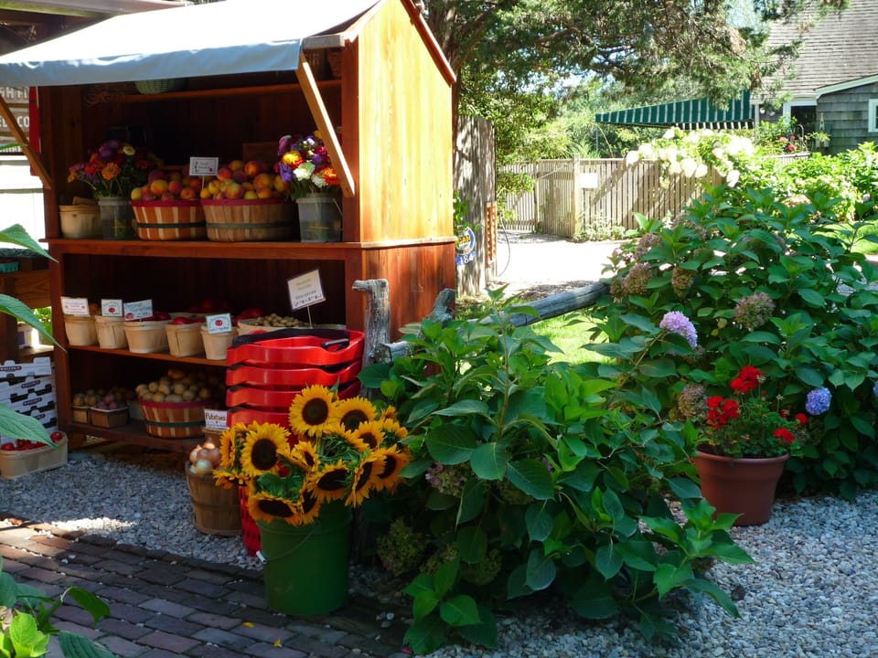 Shops and markets within walking distance