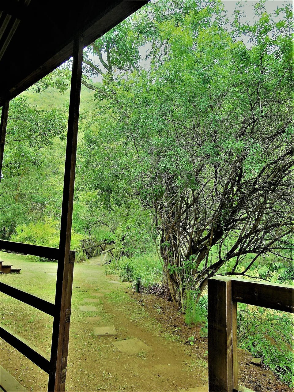 View from Unit 7
