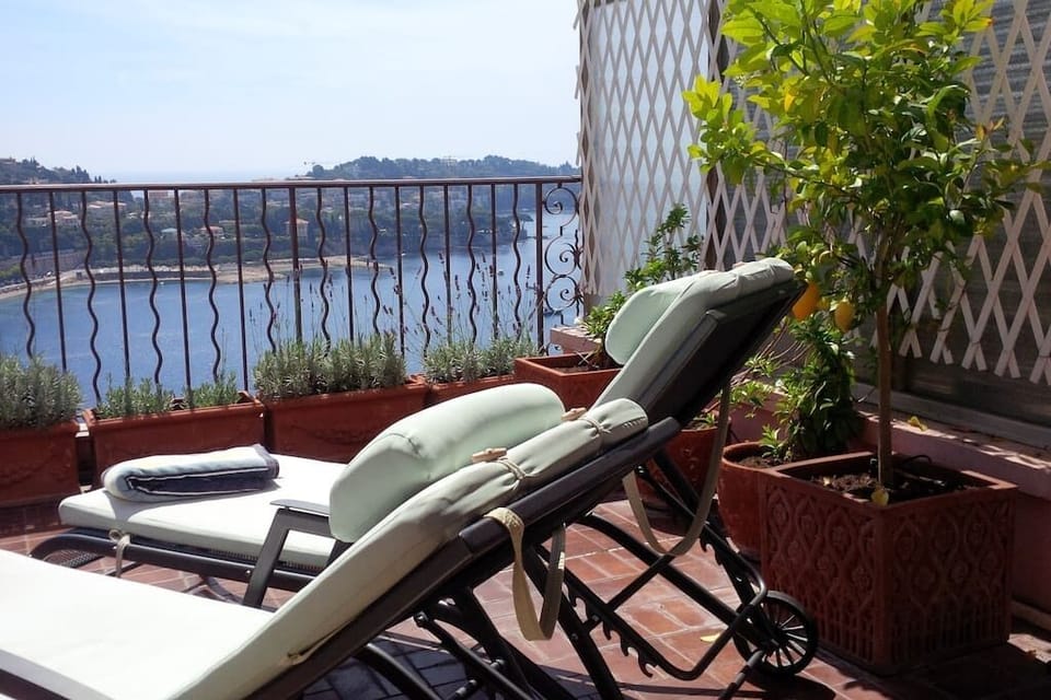 Sunbathing with a view!