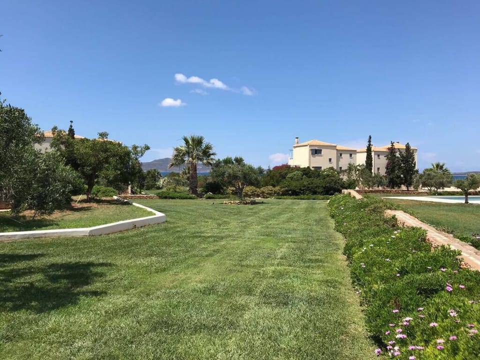 Part of the garden