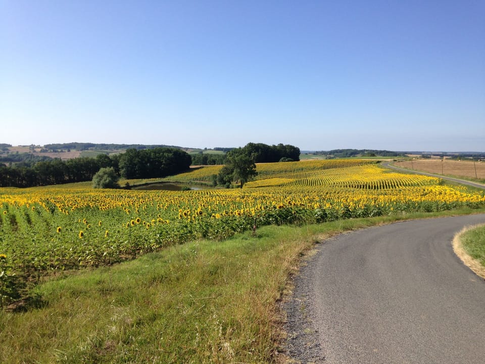 La Roche is set in open countryside
