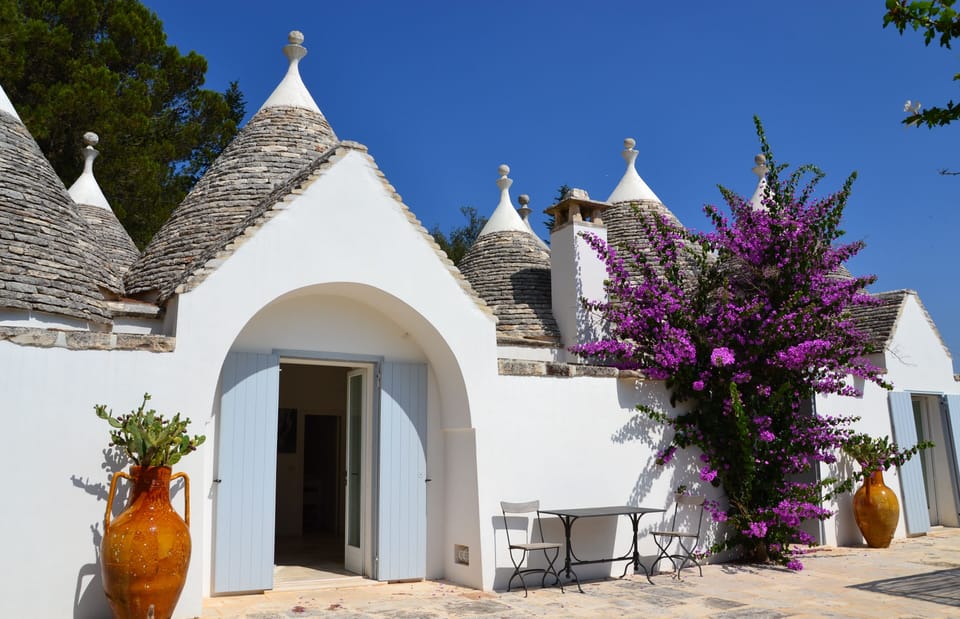 The Bougainvillea in full bloom