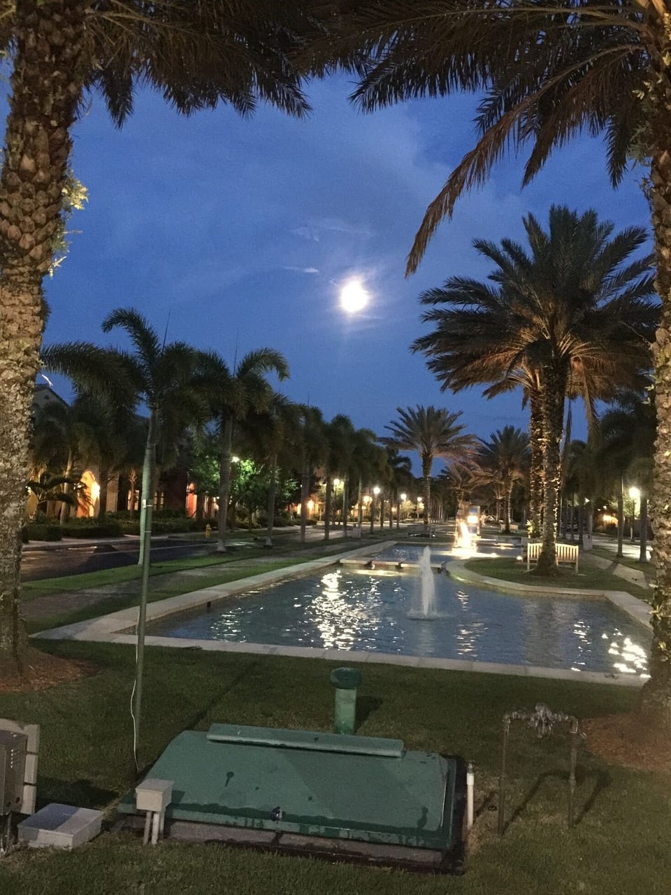Pool