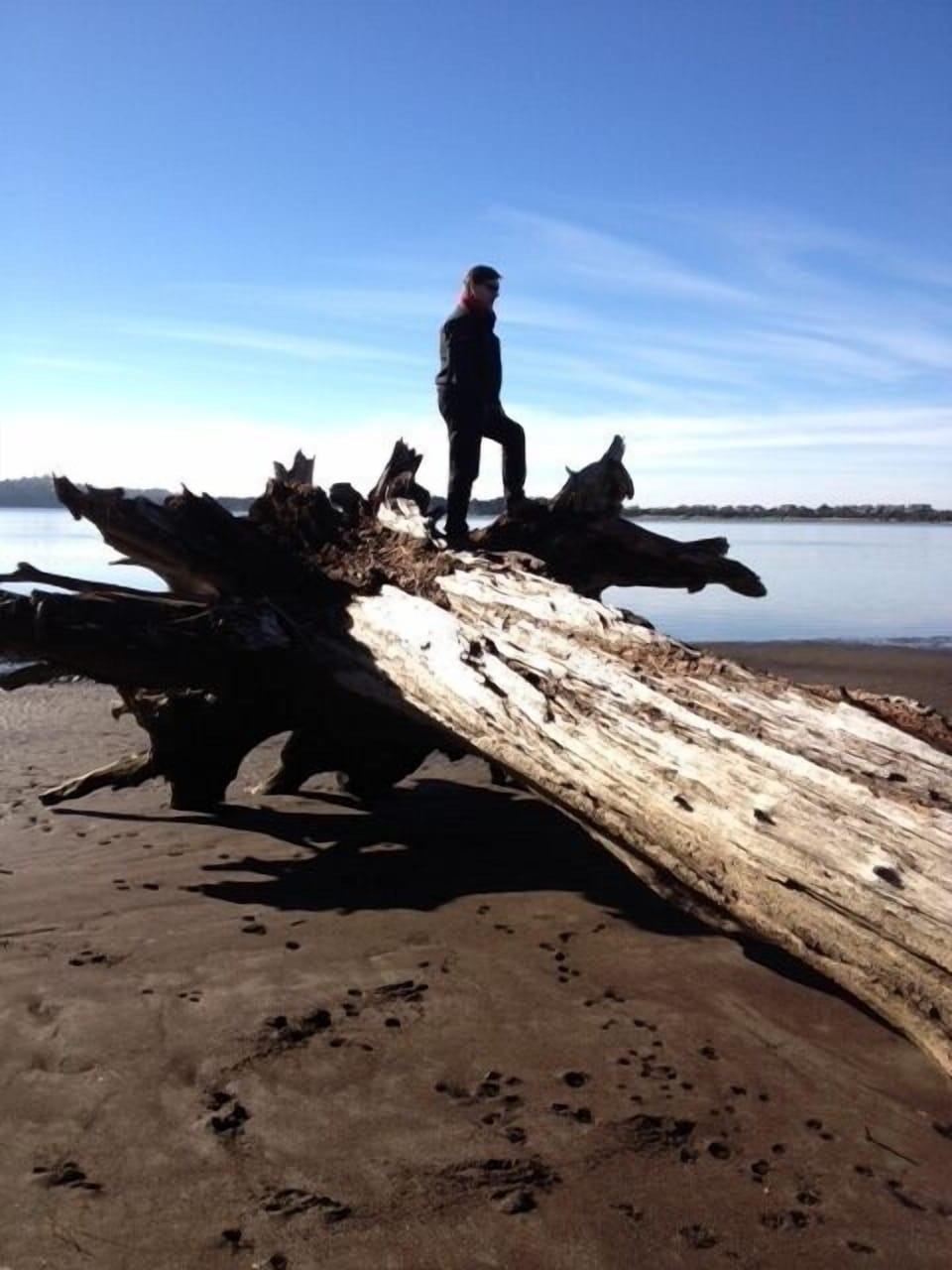 Walks on the Bay