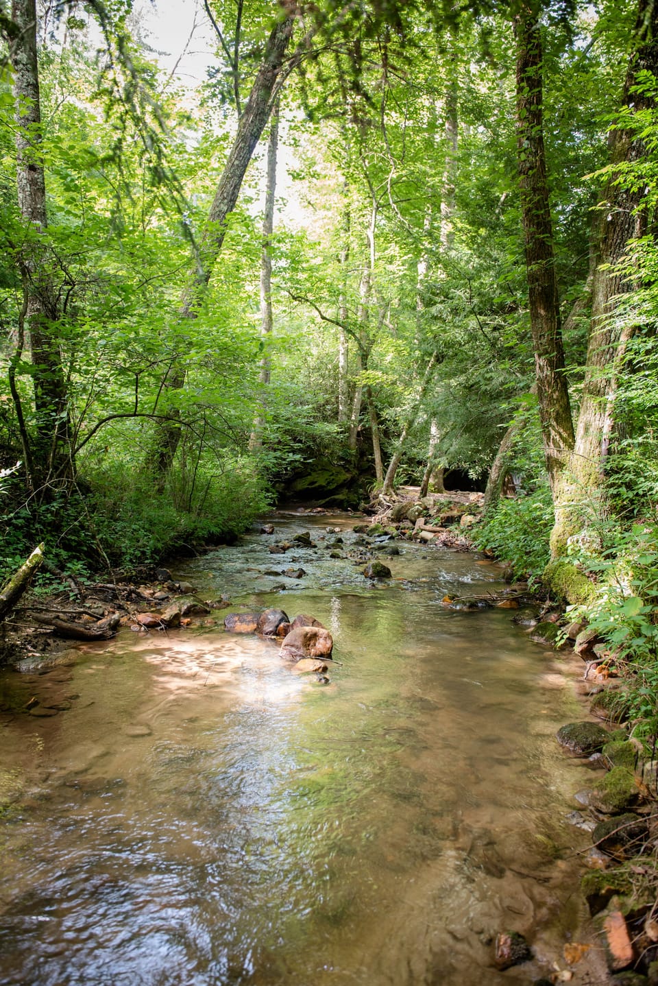 Creek runs the length of the property.