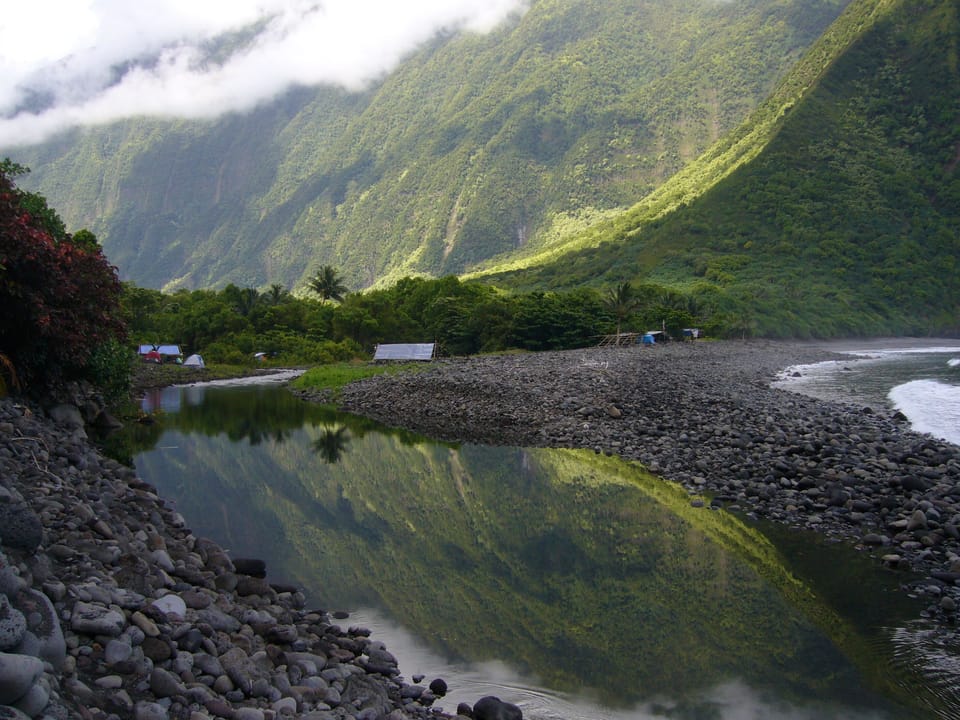lush greenery on Molokai's north coast (photo taken by cottage owner)