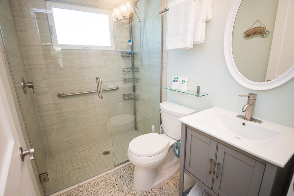 Shower with grab bar, low curb shower, comfor height clog resistant toilet.
