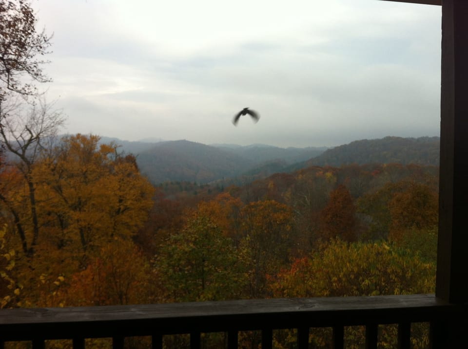 View from the living room and balcony.