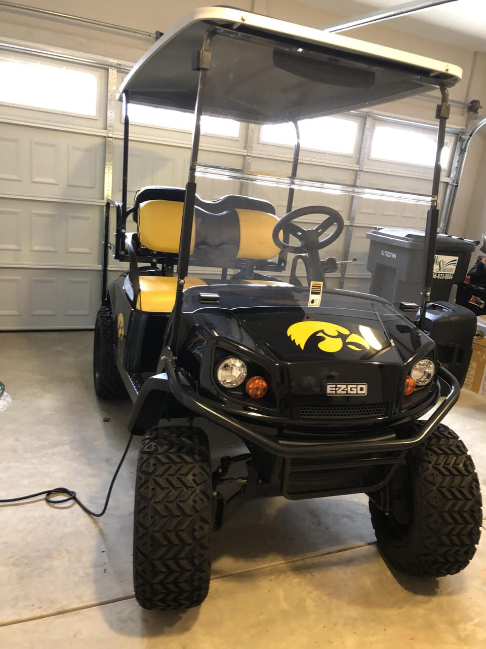 Electric Golf Cart