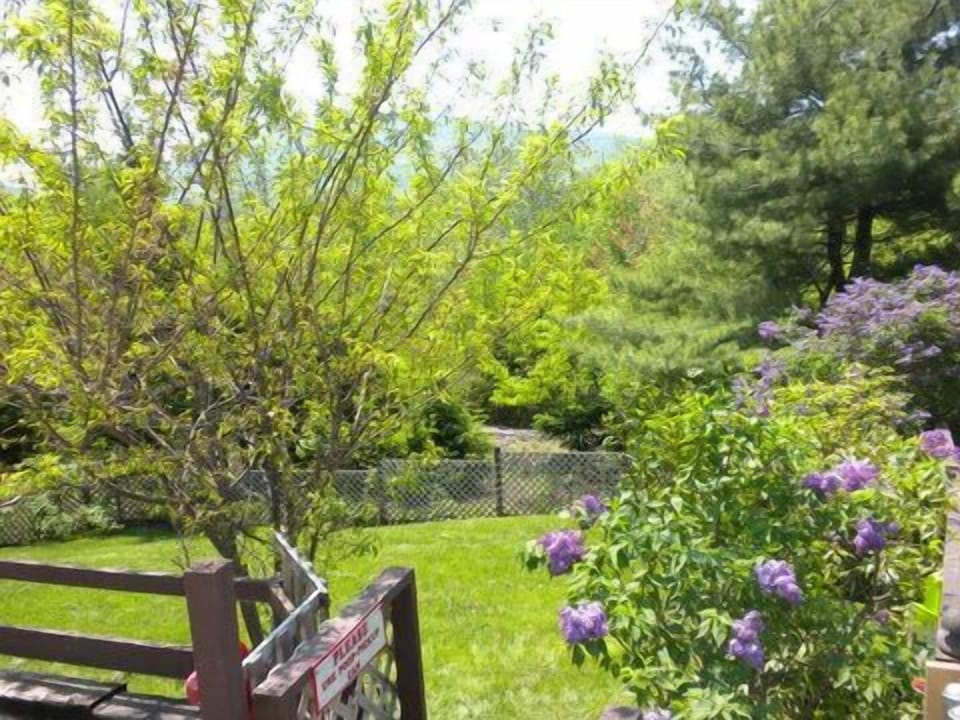 Fenced yard for children and dogs. Natural lawn, never sprayed with anything.
