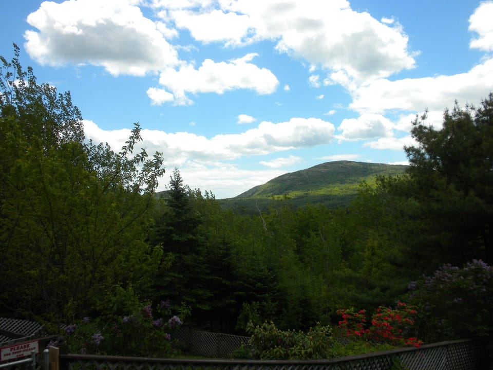 The View into Acadia National park from the Mountain View Apartment deck.