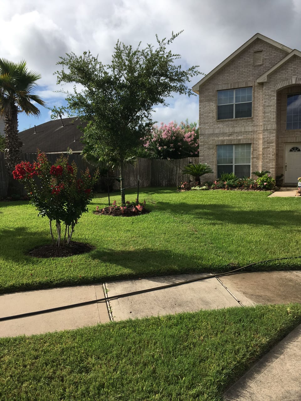 Front of the house 