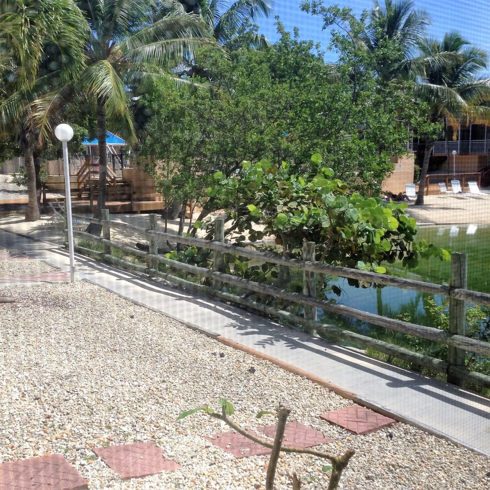 Elevated pool deck above beach