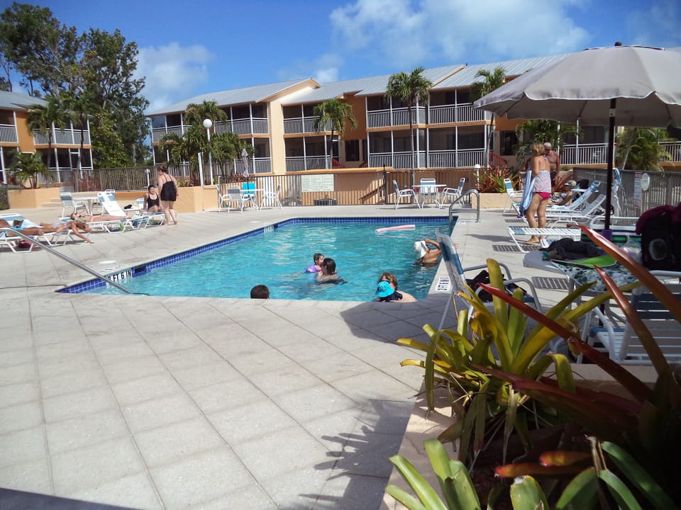 North pool