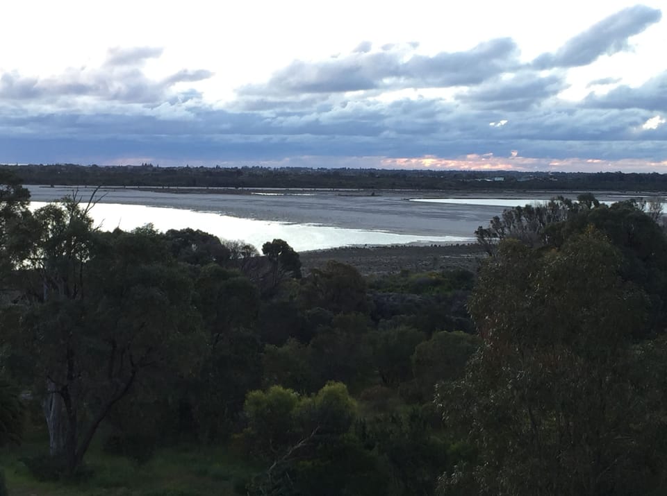 Summer lake view