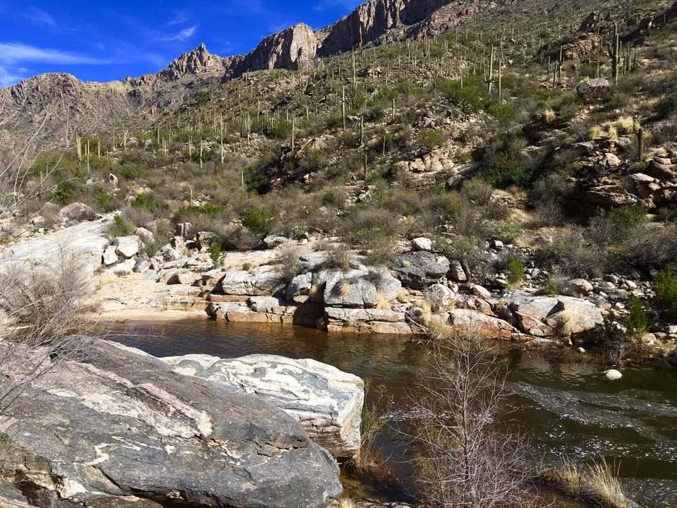 Sabino Canyon