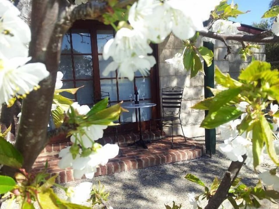 cottage porch in spring
