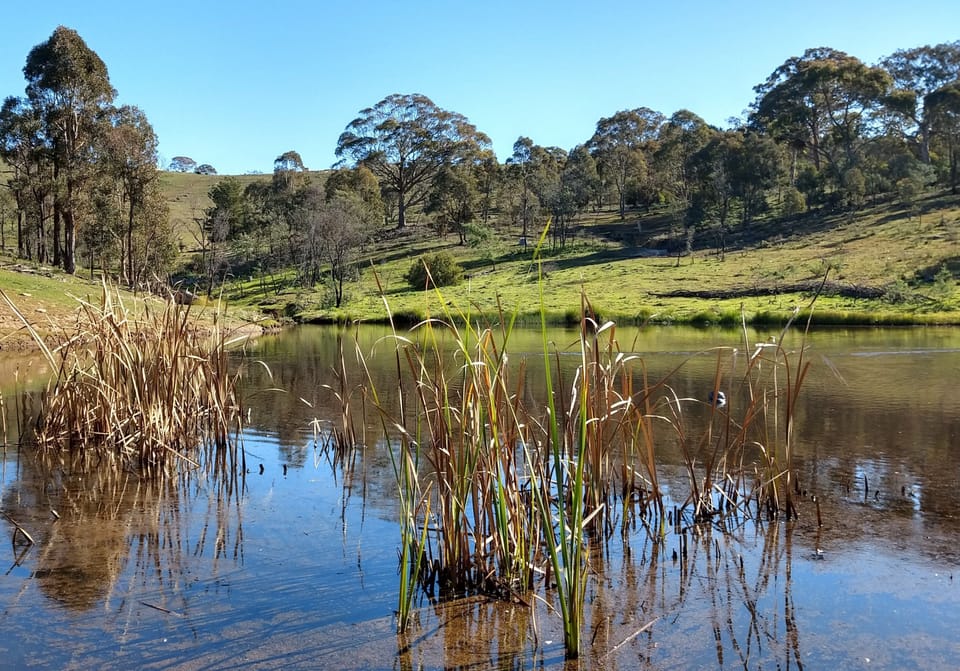 Lake