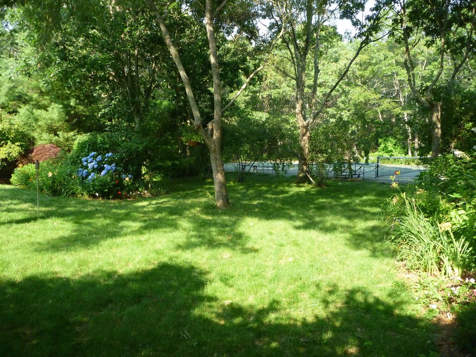 Garden in the summer - tennis court at rear
