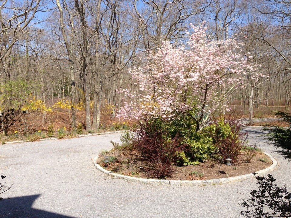 View from front door in spring